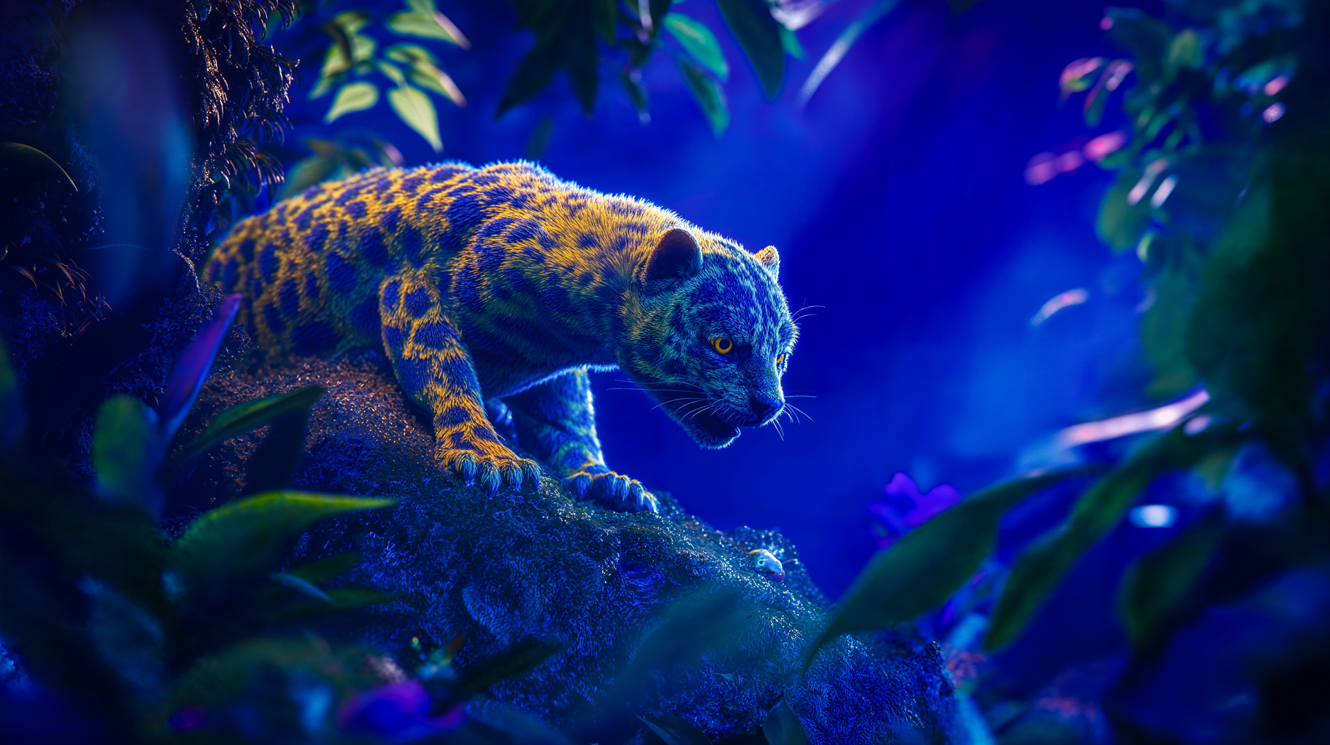 Chromatic Creatures